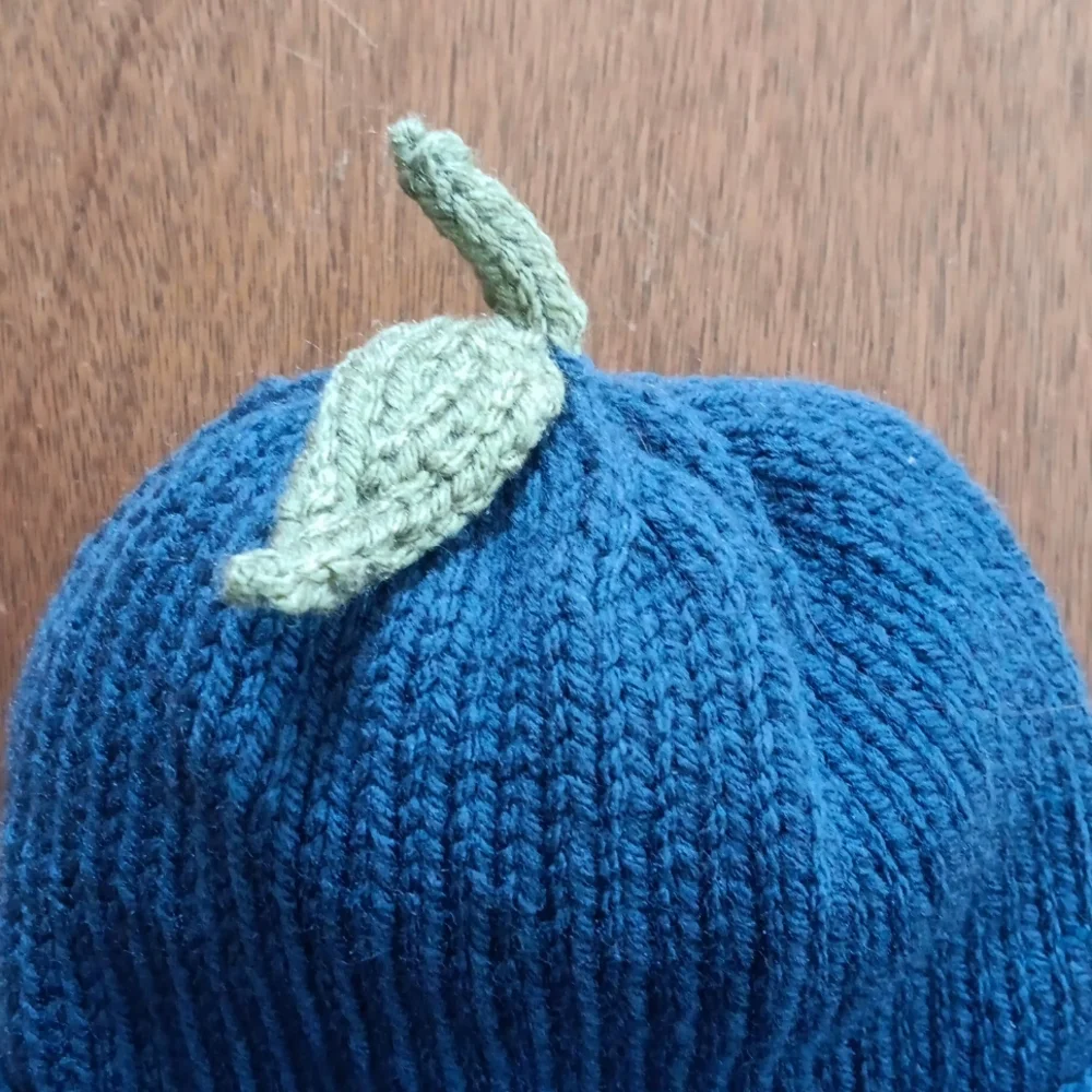Hand Crafted Handknit Navy Blue & Green Blueberry Winter Baby Hat 3-6M